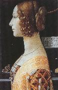 Domenico Ghirlandaio,Portrait of Giovanna Tornabuoni (mk36) Sandro Botticelli